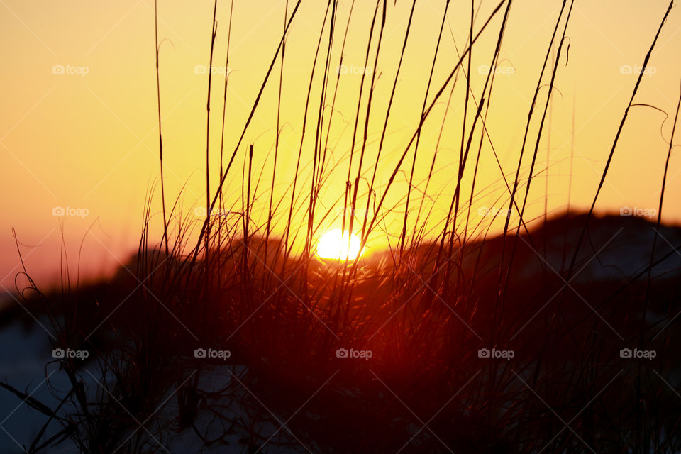 Sun going down behind the dunes on Florida beach with orange sky