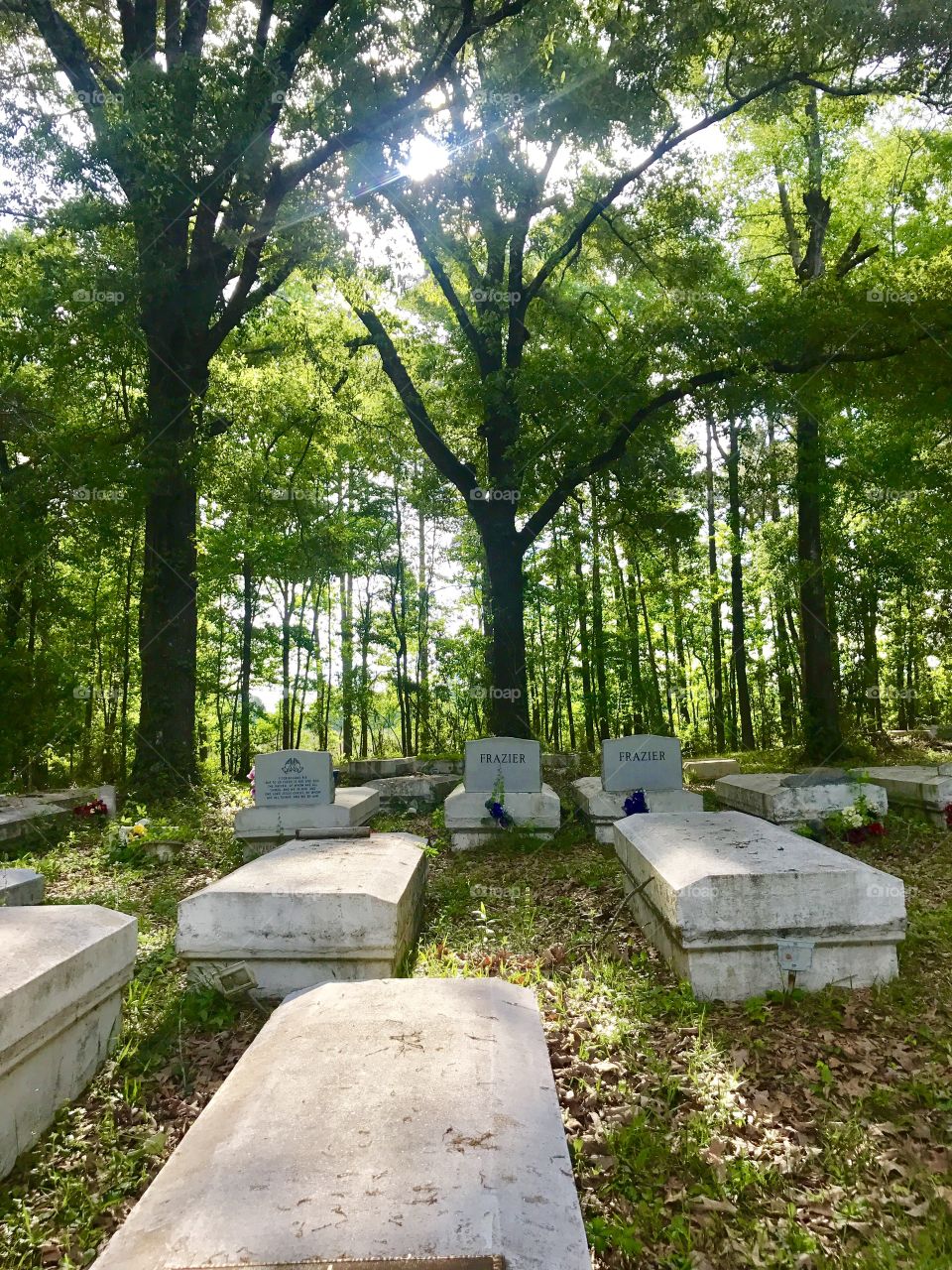 Cemetery 