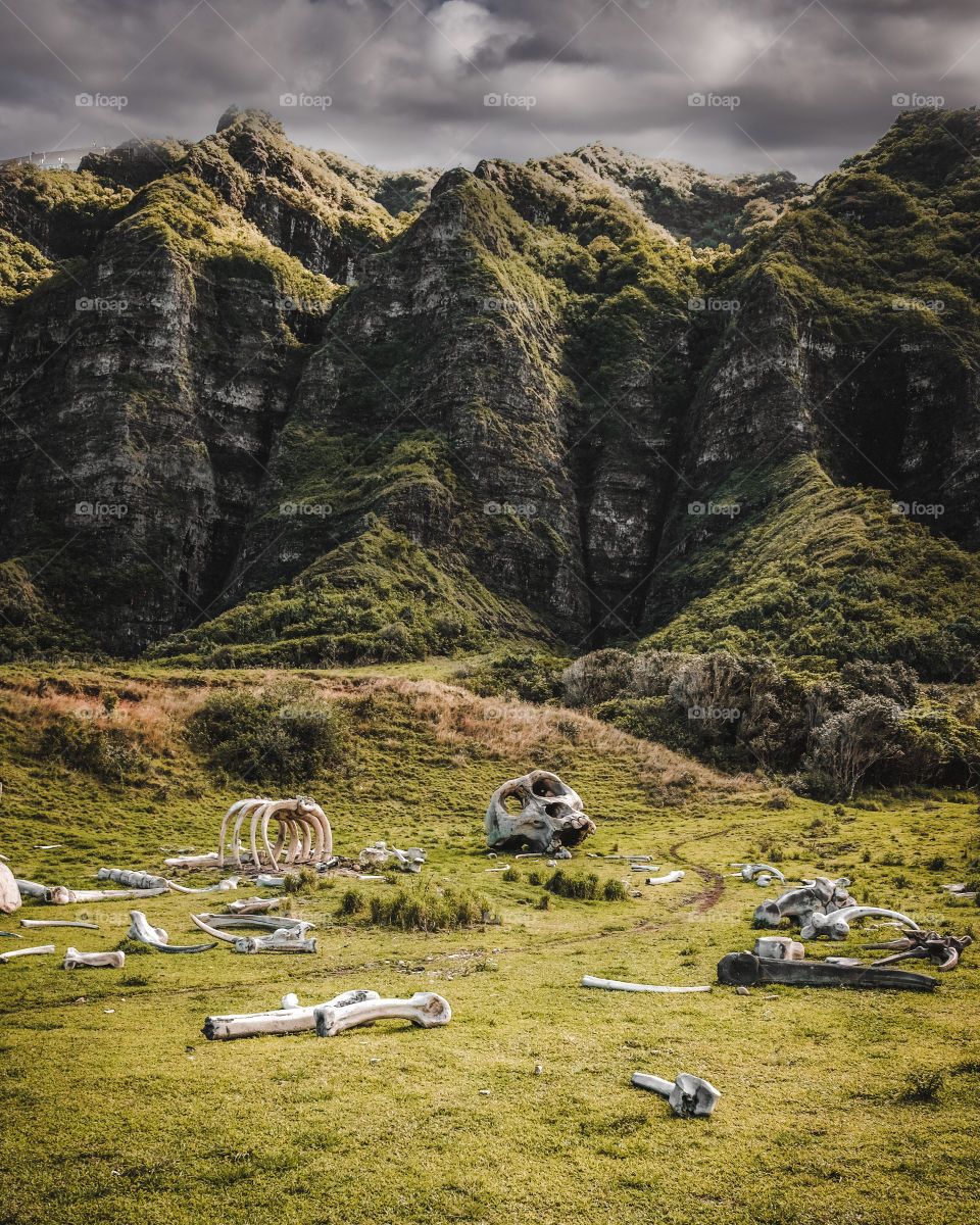 Skeletons and mountains 