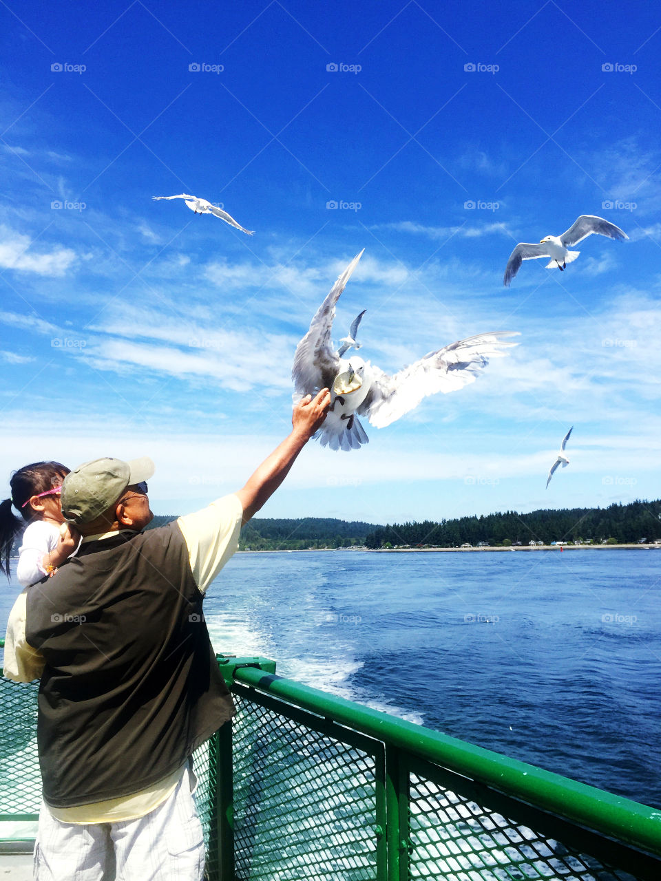 Feeding the Seagulls. Ferry ride to Seattle 