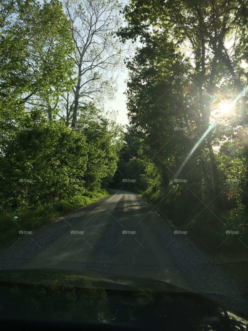 A country road on a beautiful sunny day with the sunlight coming through the trees.