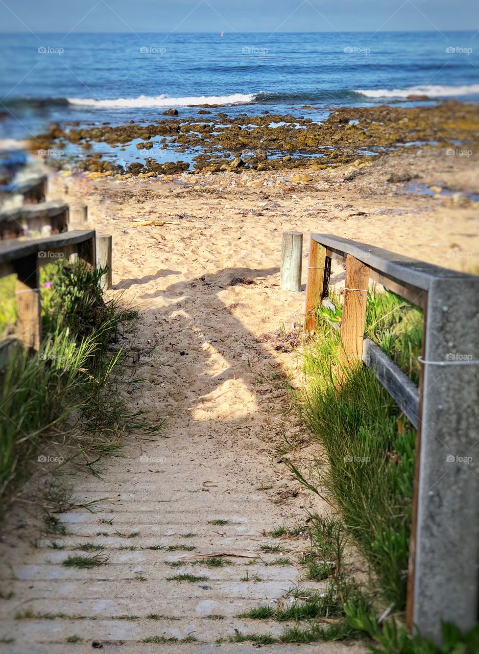 Beach Path and Dunes! 