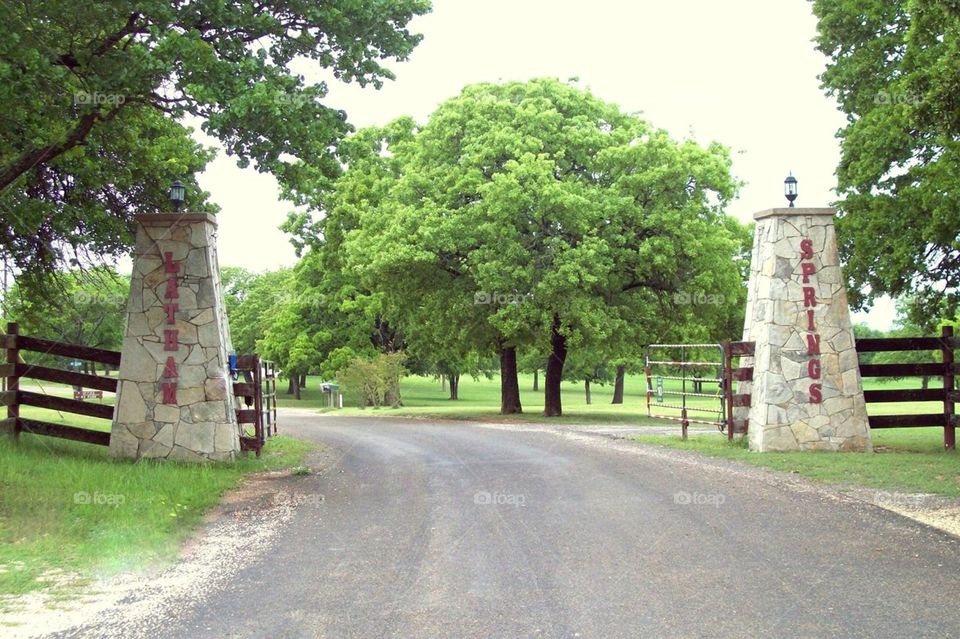 Camp beauty. Entry into church camp