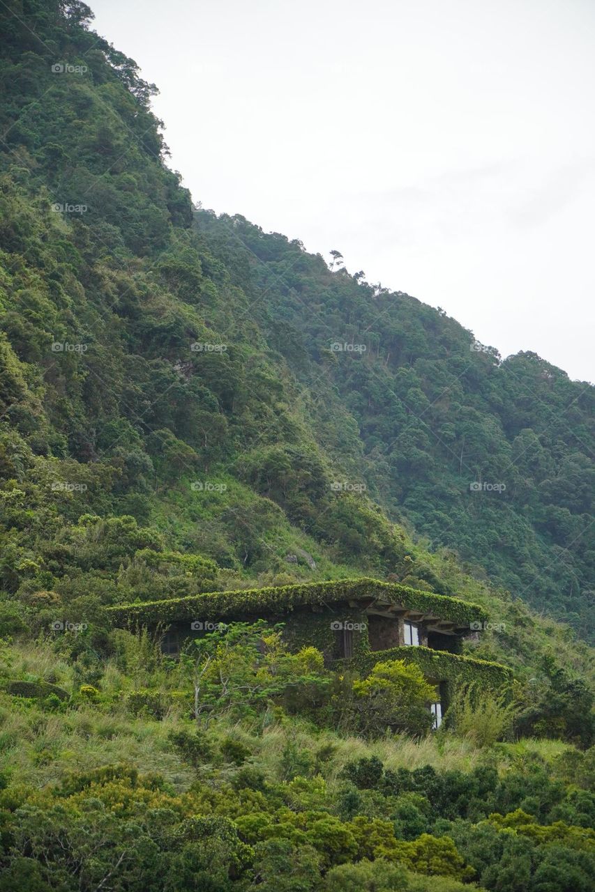 Beautiful Green house at riverston Srilanka