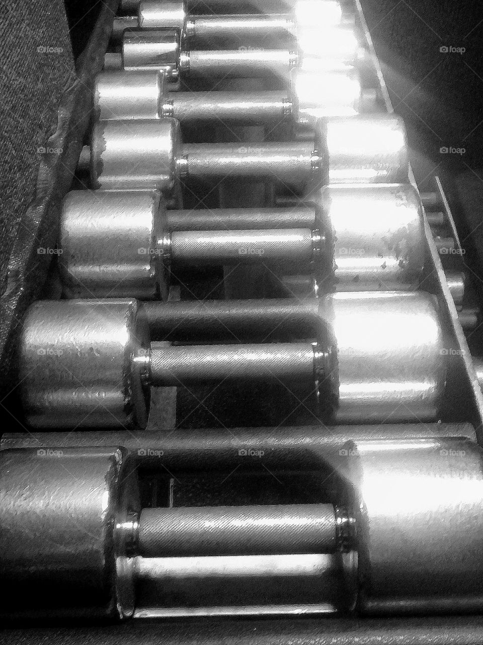 the beauty of dumbbells