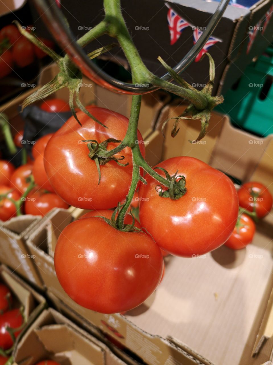Tomatoes