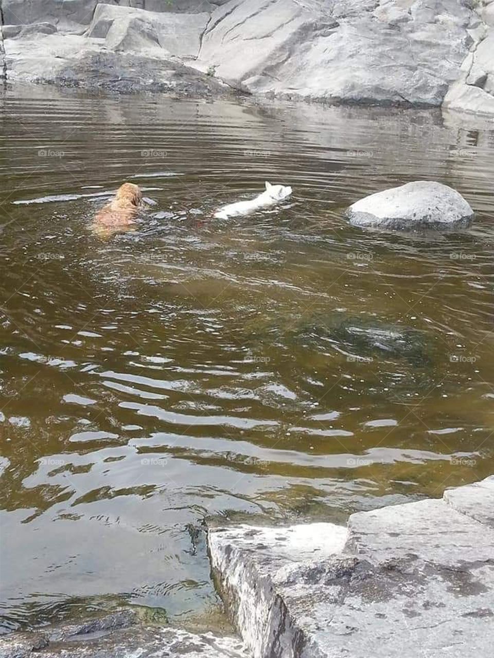 Pulperie with Snow and Maya