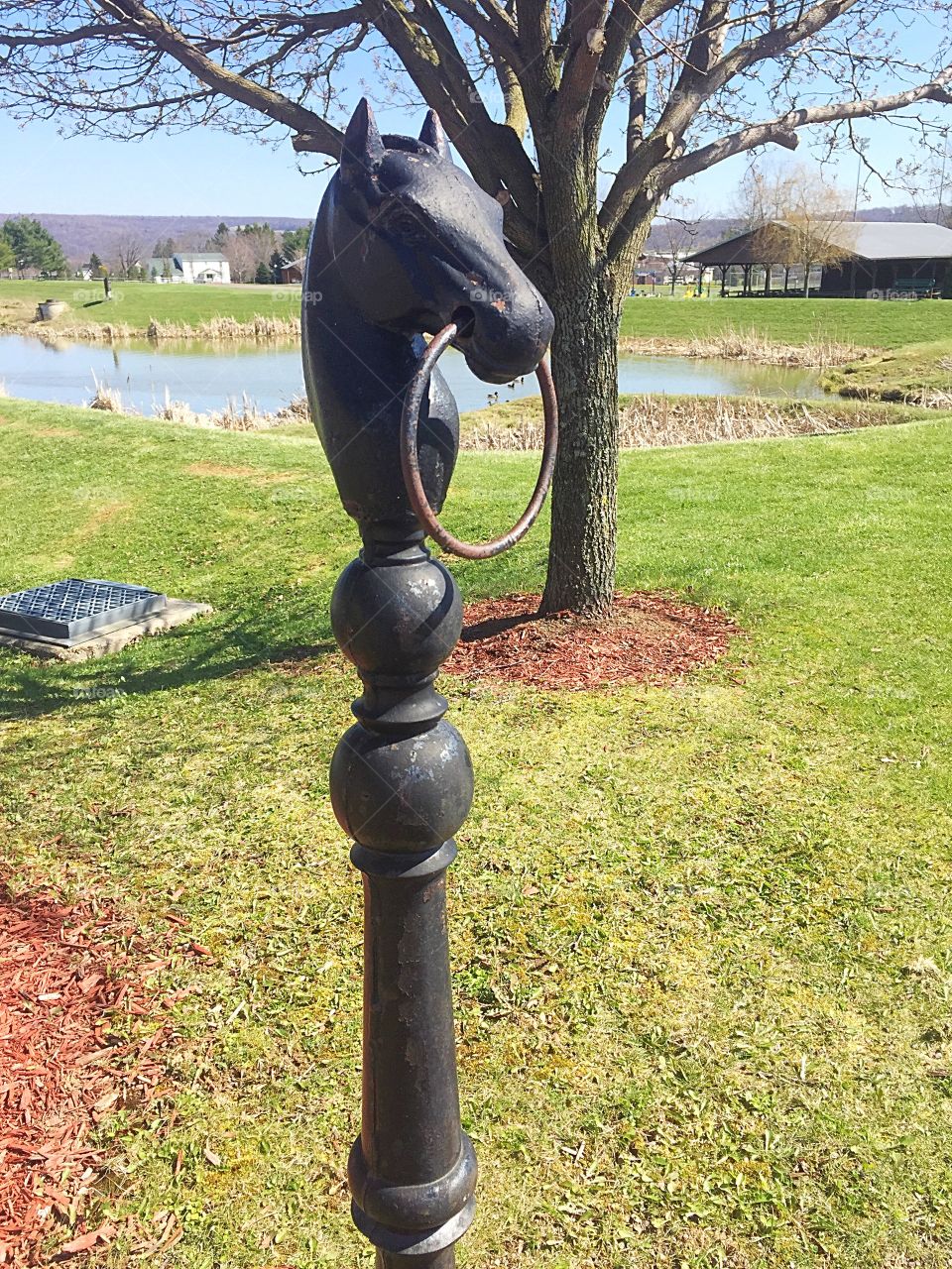 A Horsehead hitching post for the Amish in the community. 