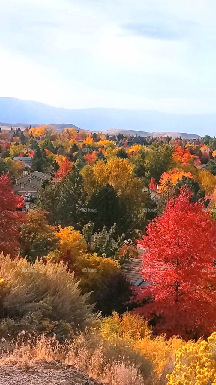 overlooking a valley of colorful autumn trees with mountains in the background