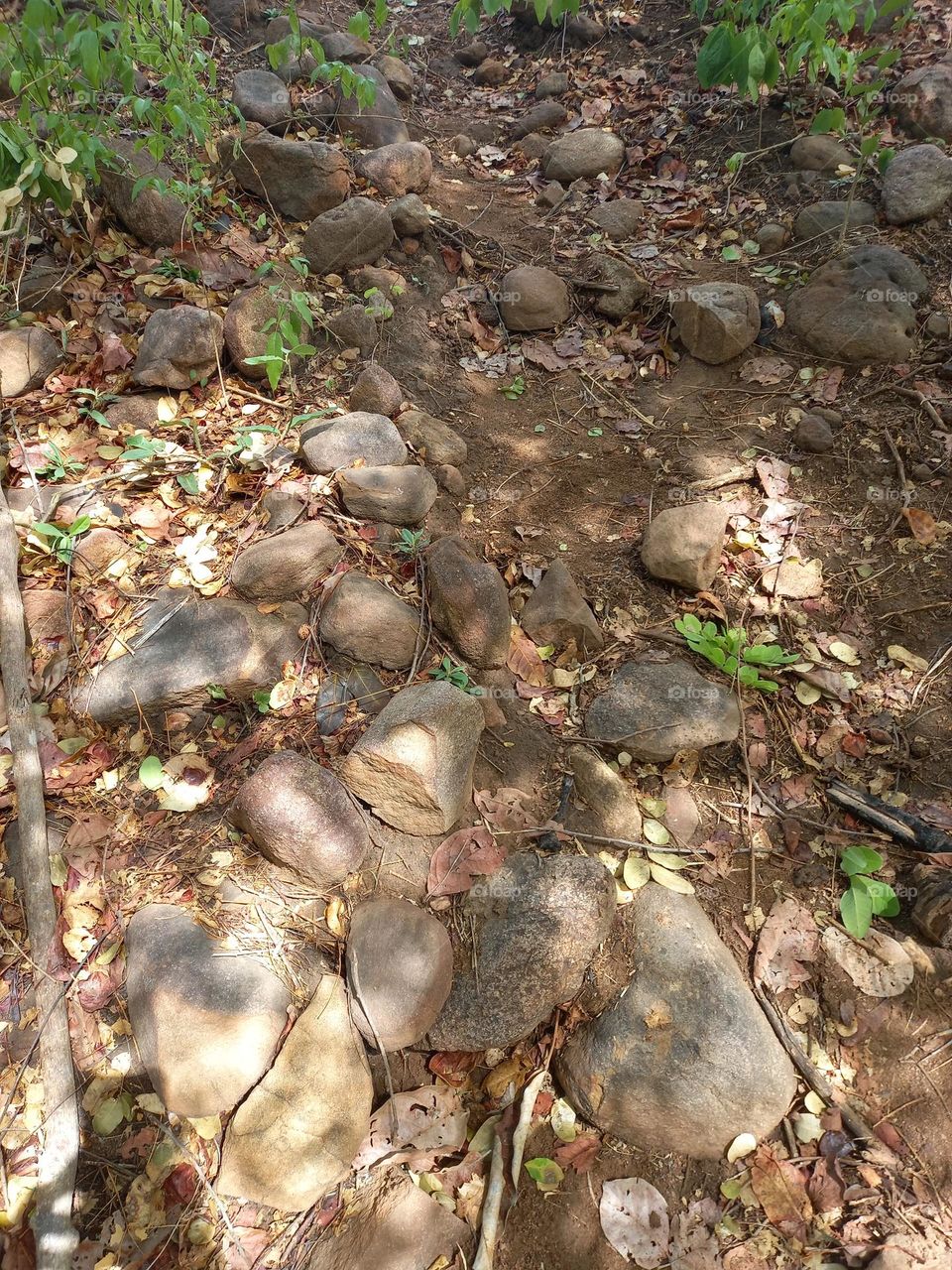 Not every path is easy to walk... But that doesn't mean that the end is worth the effort! 😉