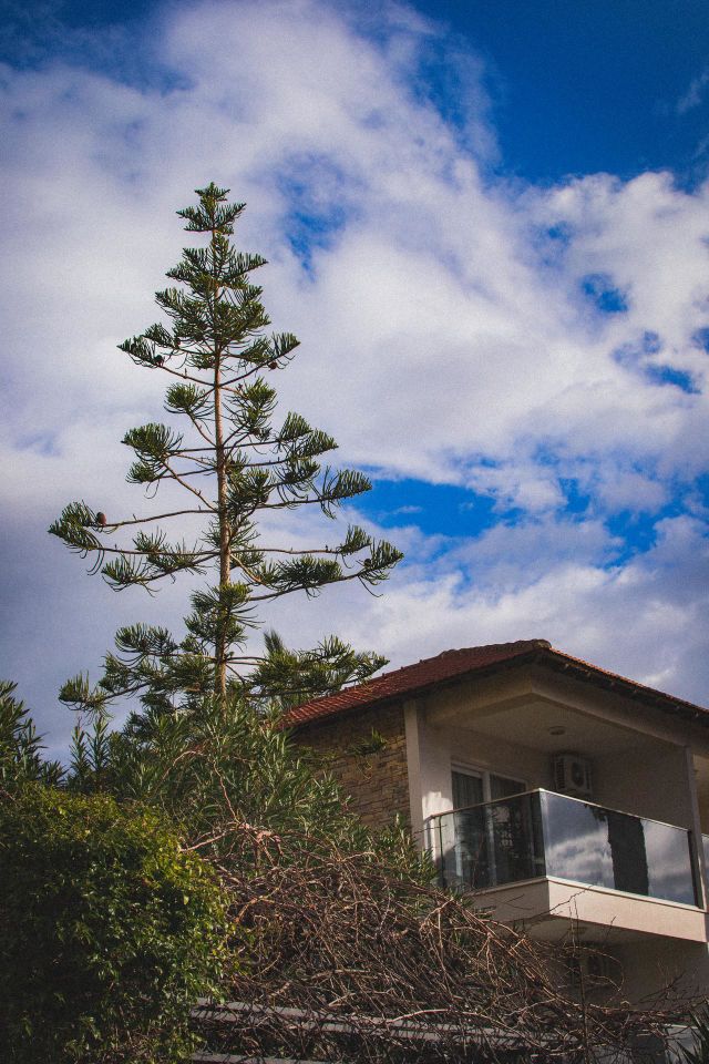 Summer in Turkey 