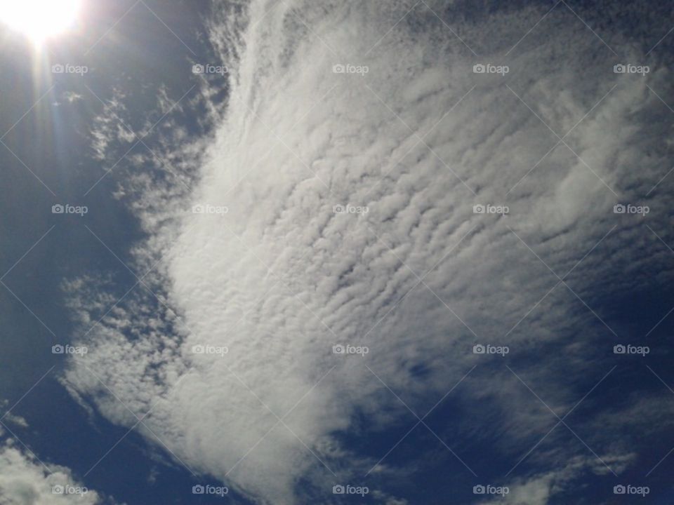 Big bird ready to fly in the sky .