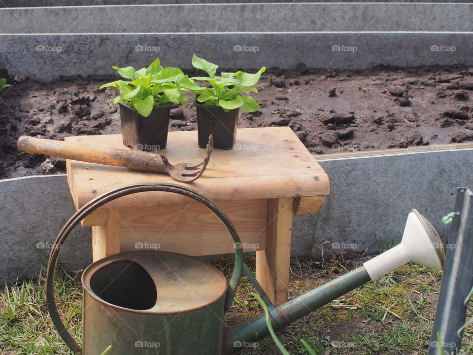 Flowers before planting.  On the chair there are two pots of flower seedlings and a hand rake, in front of the chair there is a watering can.