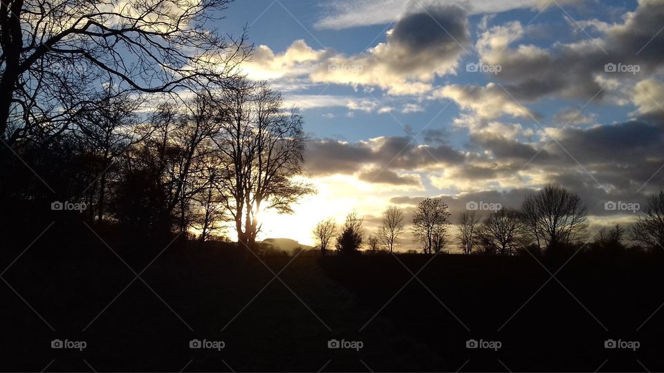 Winter golden sunset over hills, countryside, fields and woods with silhouettes of trees. Landscape 