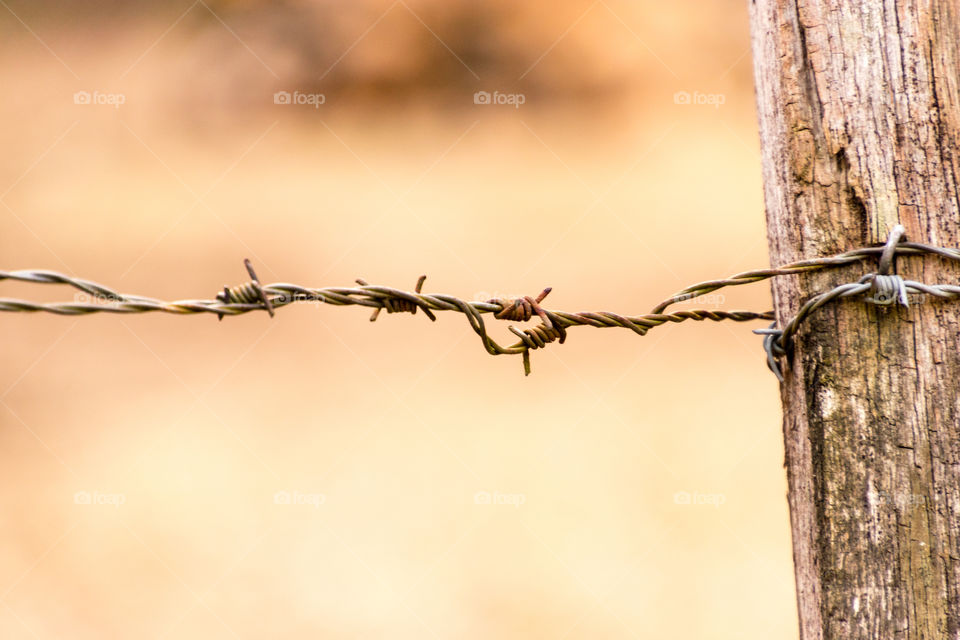 rusty barbed wire with some great bokeh in the background. photo art at its best