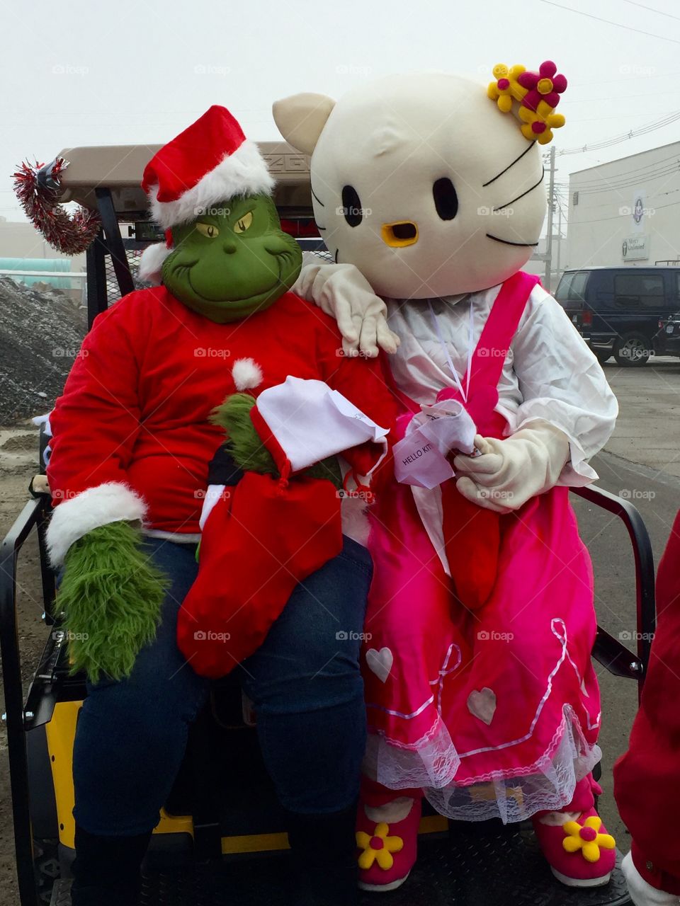 The Grinch and Hello Kitty