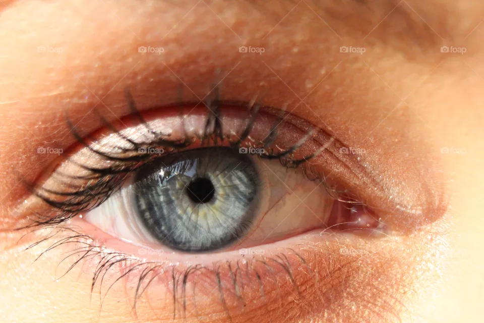 Eye