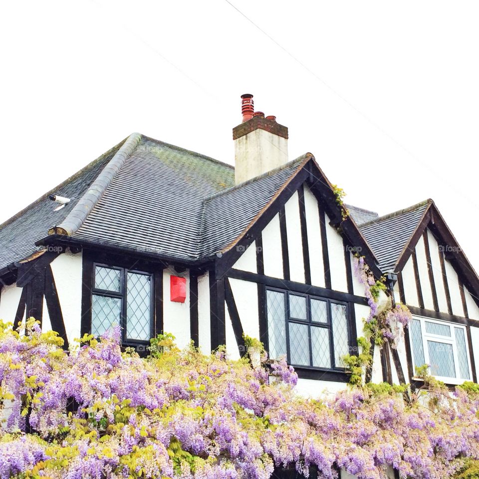 House, Family, Roof, Bungalow, Architecture
