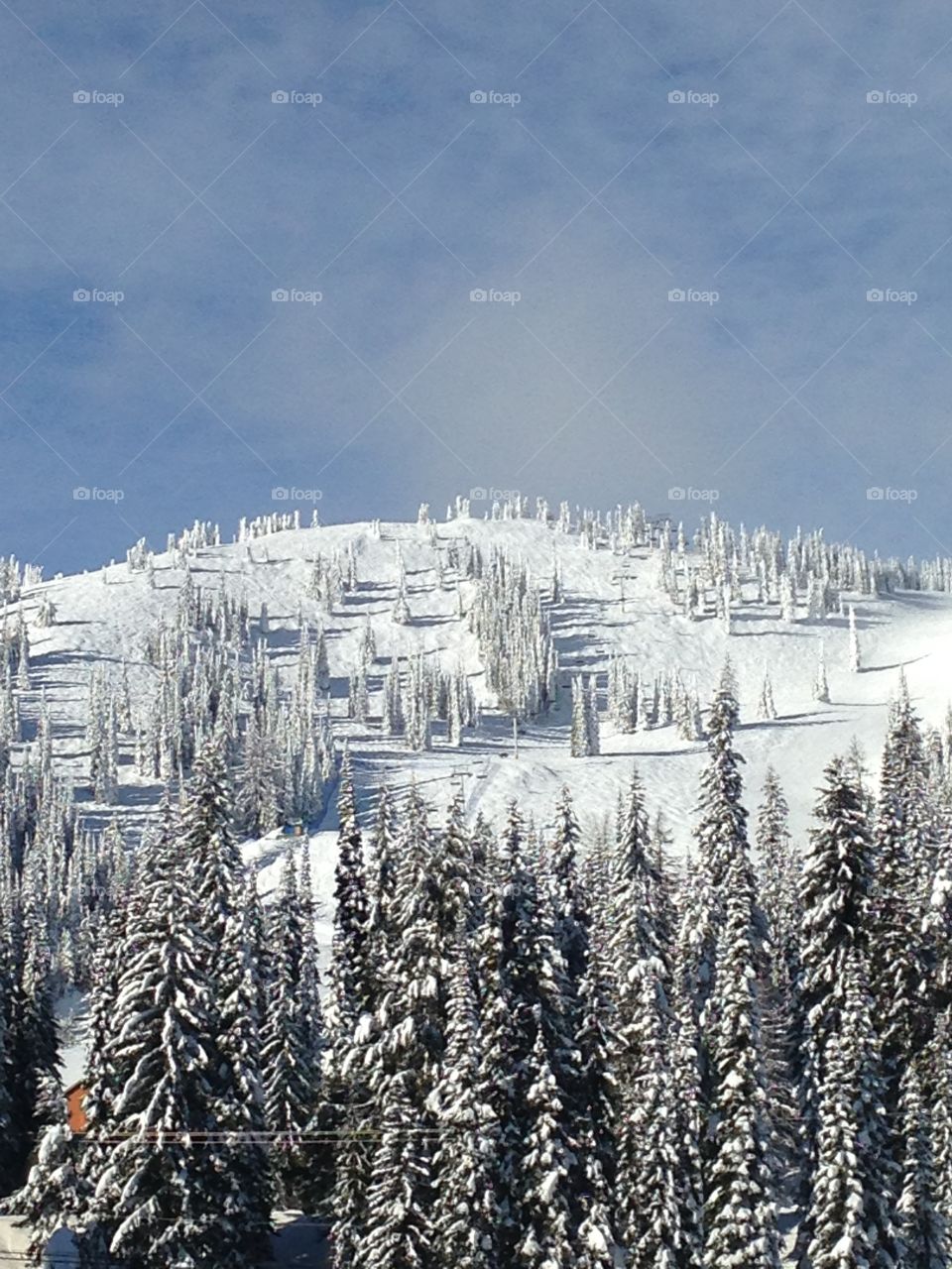 Snow ghost at Silver Star mountain 