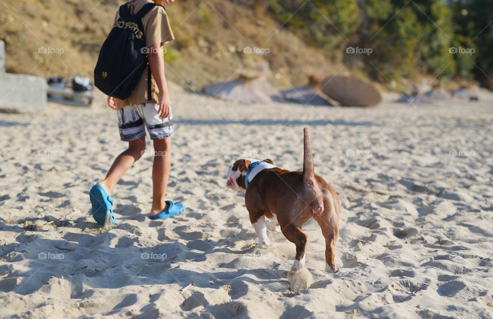 walking the dog, people walking the dogs on the street, they spend time together, the person plays with the dog, trains it, eat delicious food, take pictures. best friends are dogs. children and dogs for a walk