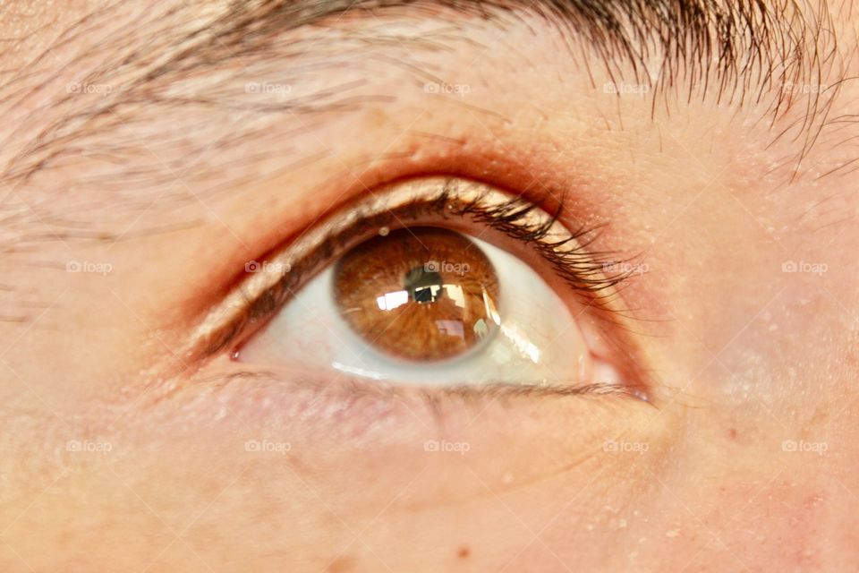 Eyes iris 