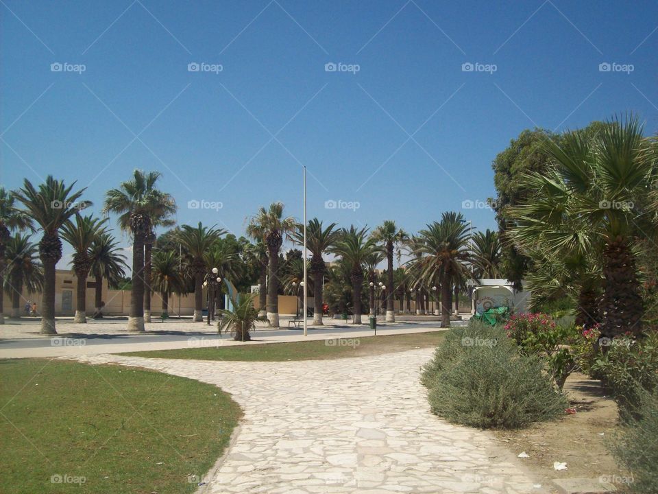 Travel in Tunisia