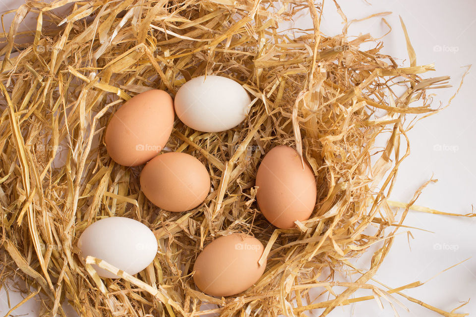 Eggs on a straw nest . Different colored eggs on a nest of straw with a white background