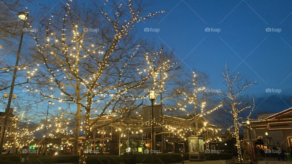 An early morning commute to the local Coffee bar. Few are out on this cold morning, but no doubt they have the same goal in mind. They’re greeted by holiday lights not yet taken down. Beautiful accents to the buildings and trees. 