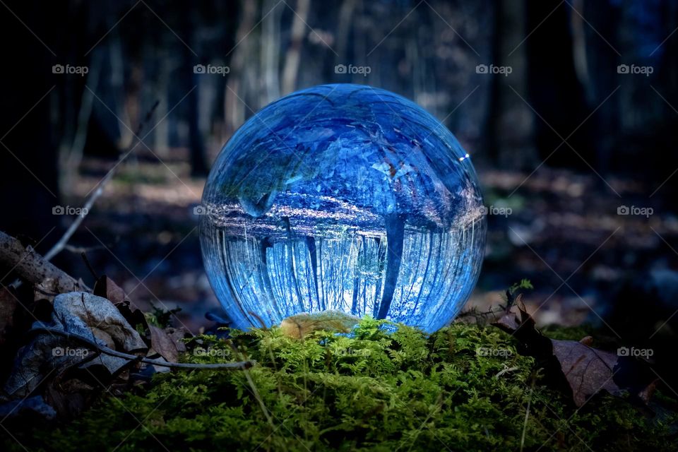 A crystal ball upon the moss reveals plenty of nature within the blue thriving in the future. 