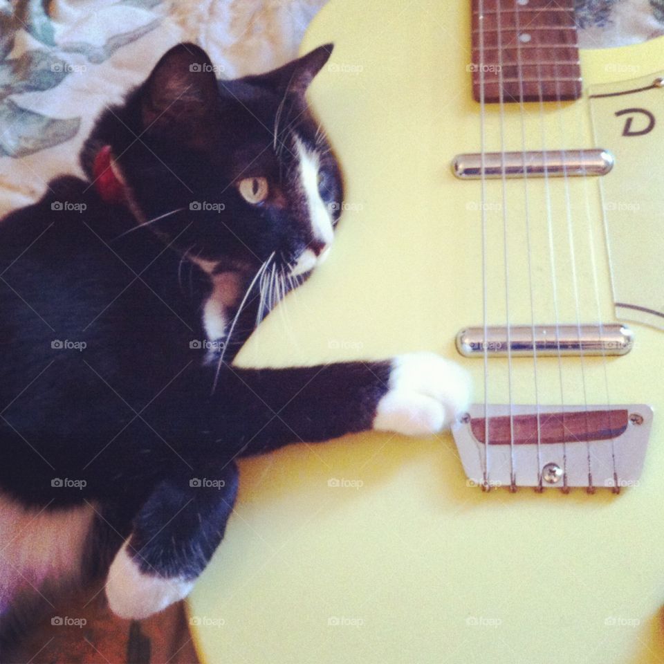 Black and white tuxedo cat with his paw on a yellow guitar 