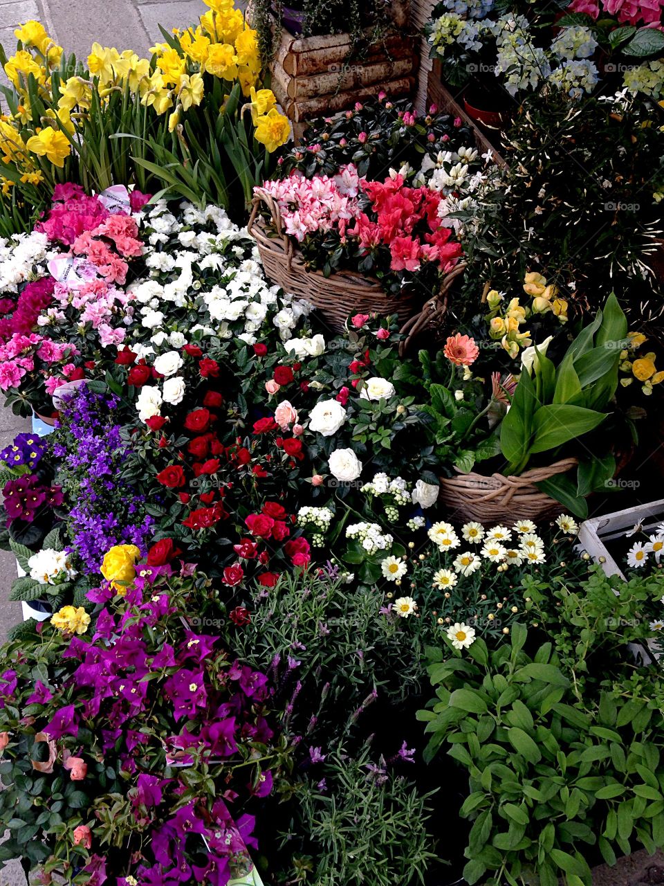 Flowers forsale on city street