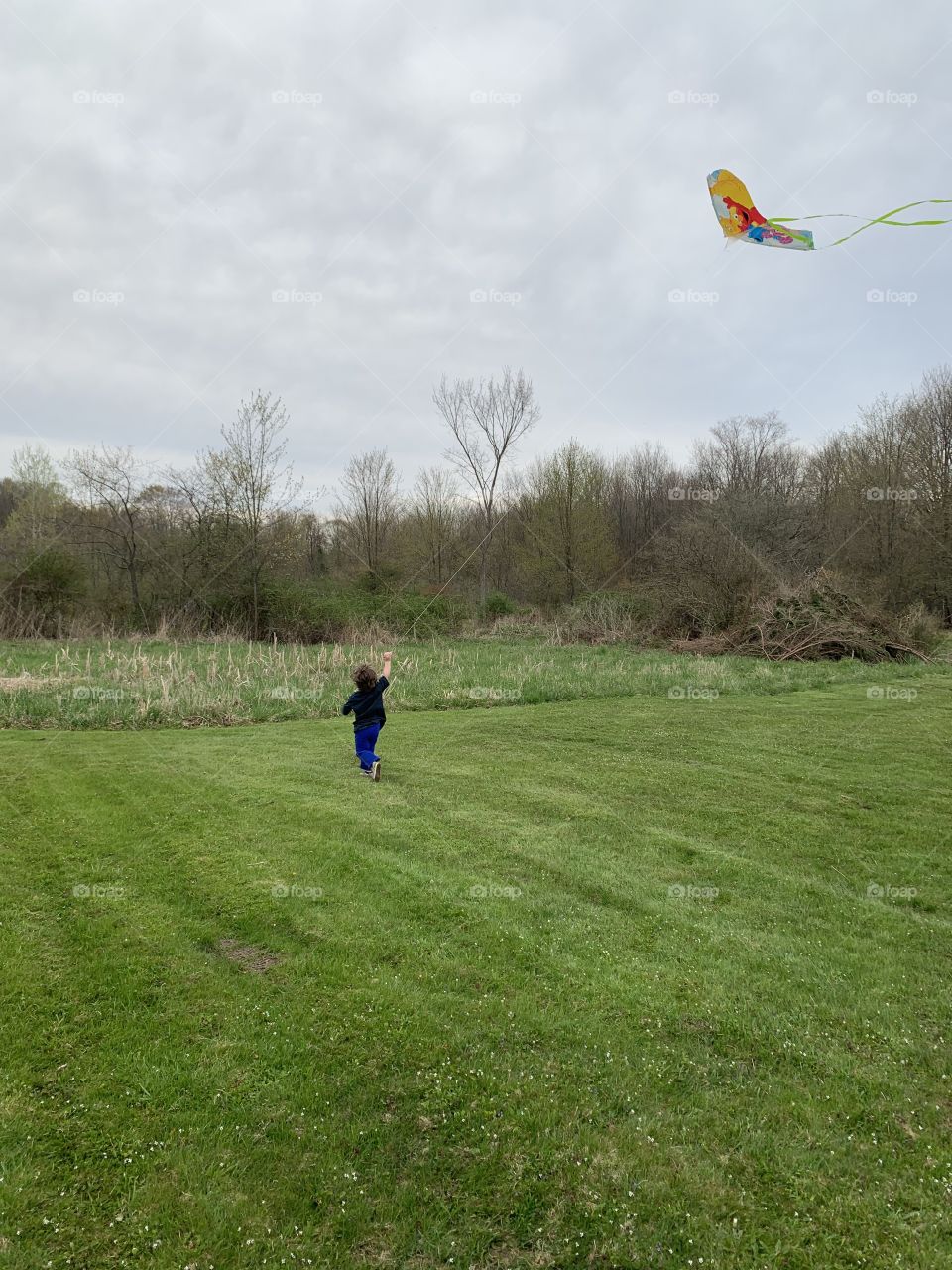 Kite flying 