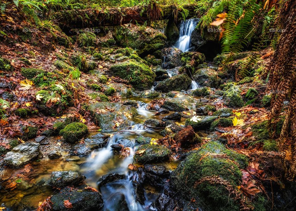 Autumn at the Falls