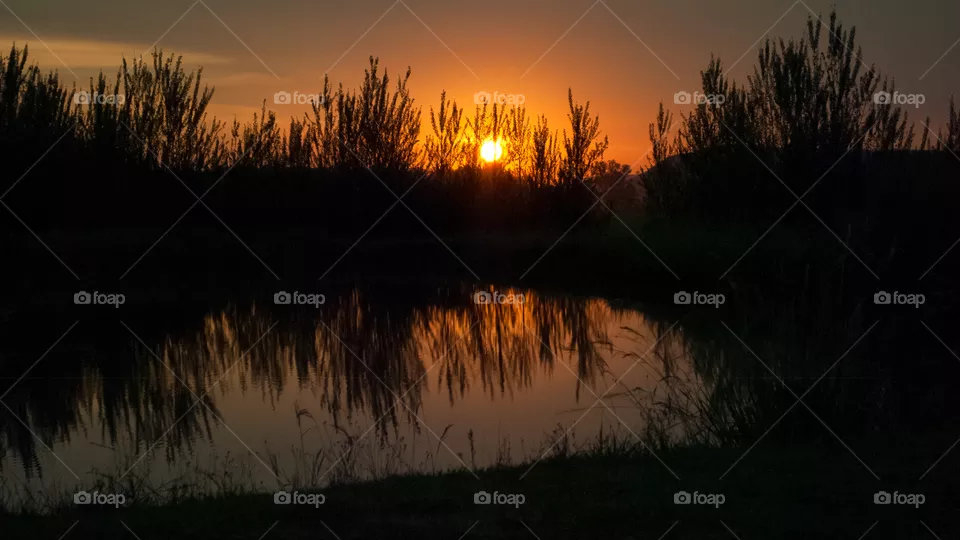 sunset