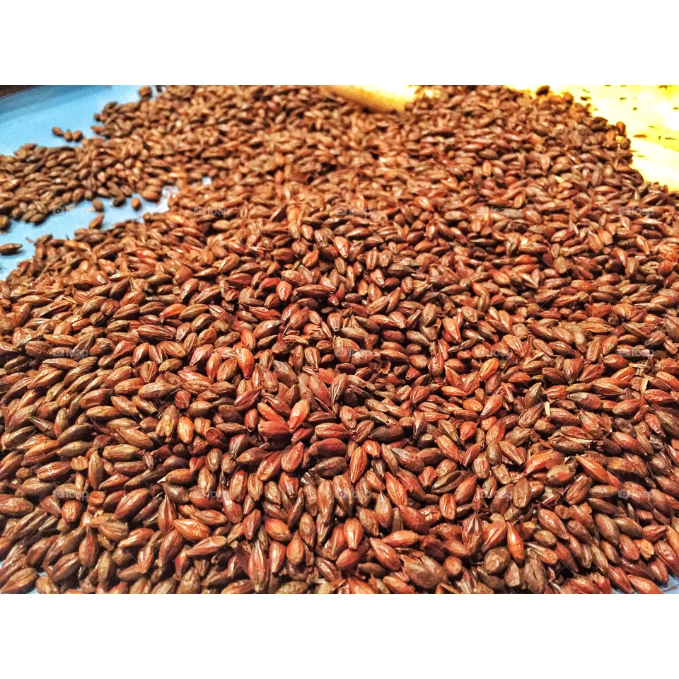 Grains