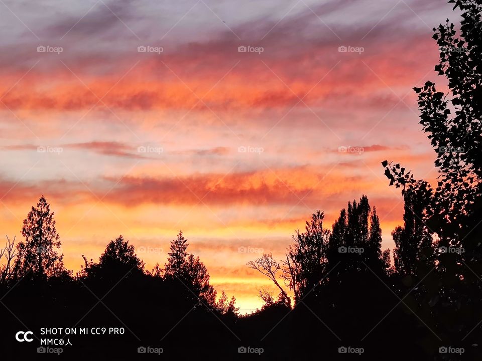 sunset and evening series