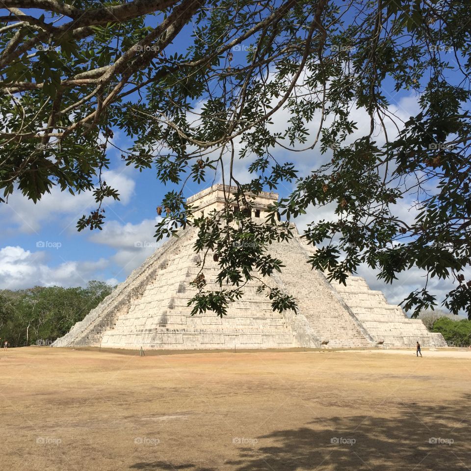 Pyramid in the trees