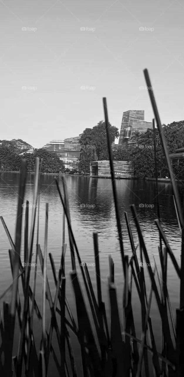 campus
