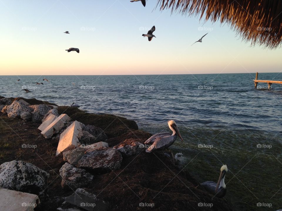 Florida keys 