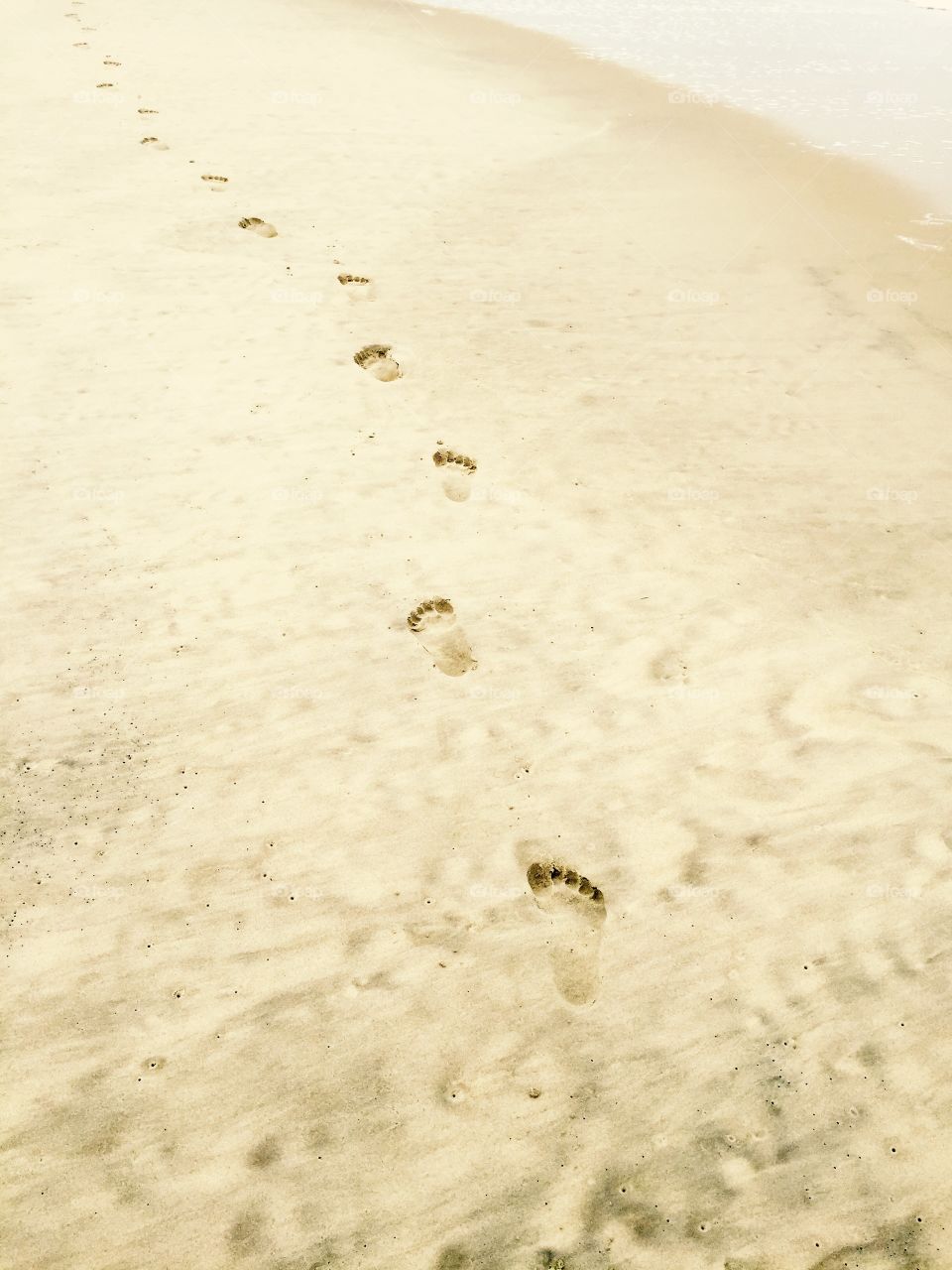 Footprints 