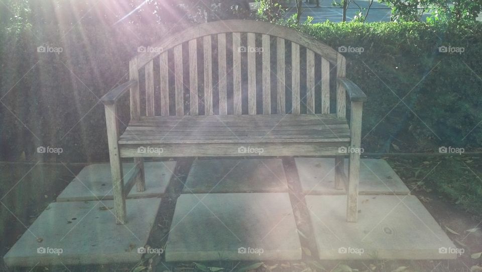 Sunlight Bench