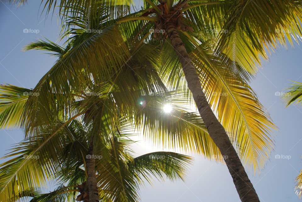 Shaded relaxation on the beach 