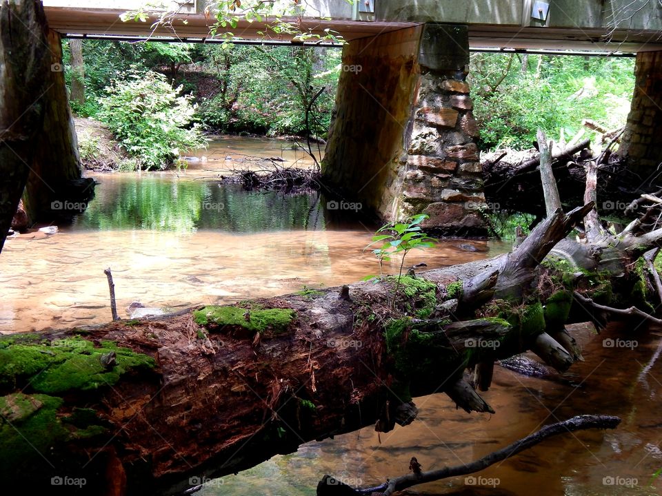 Mossy log across Georgia mountain stream near rock pillar bridge.
