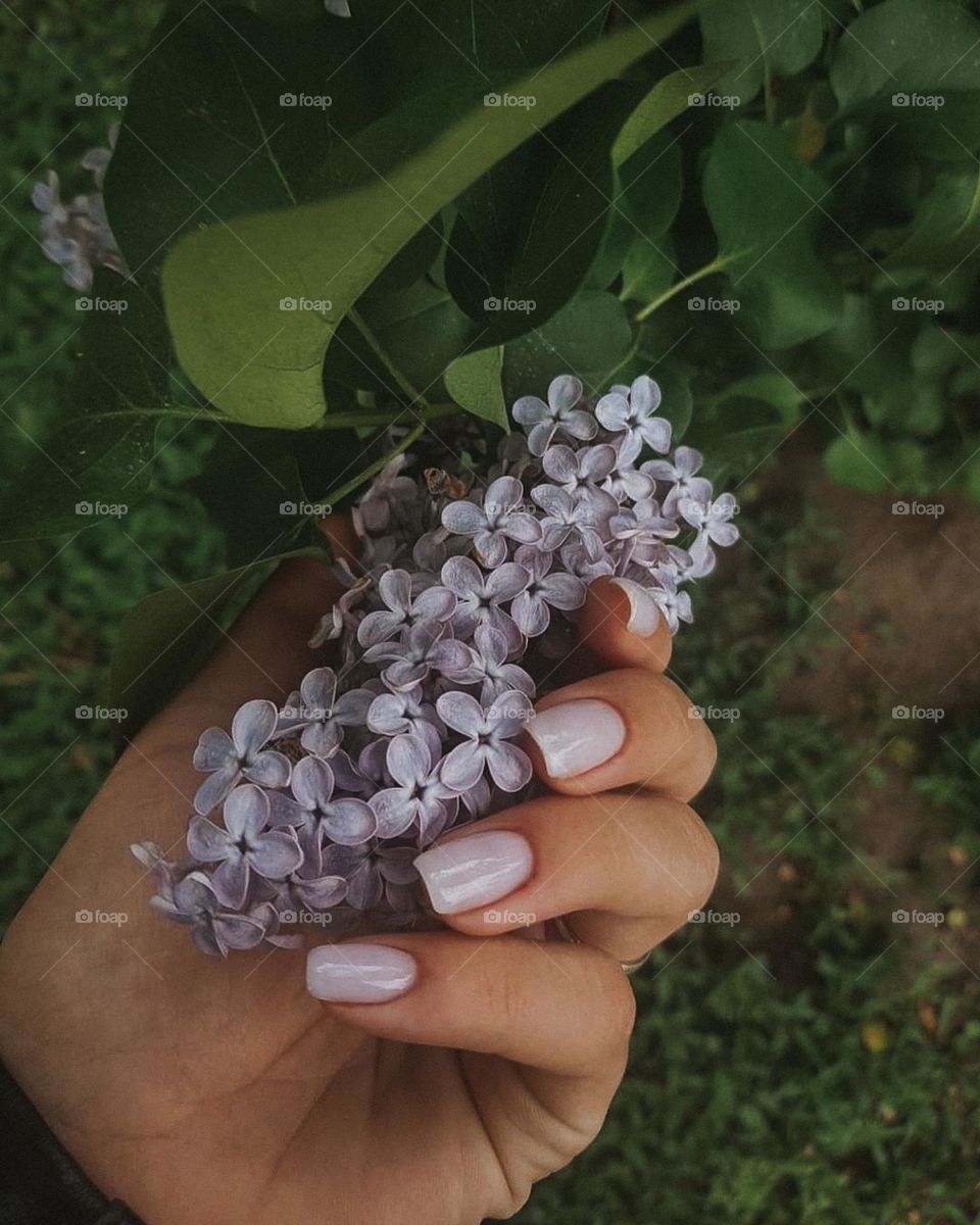 Ніжний манікюр