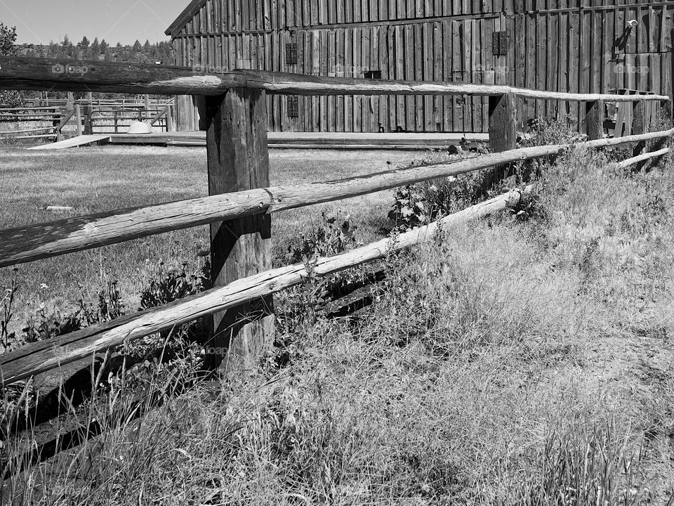 An old weathered barn in the fields in the rural countryside of Oregon.