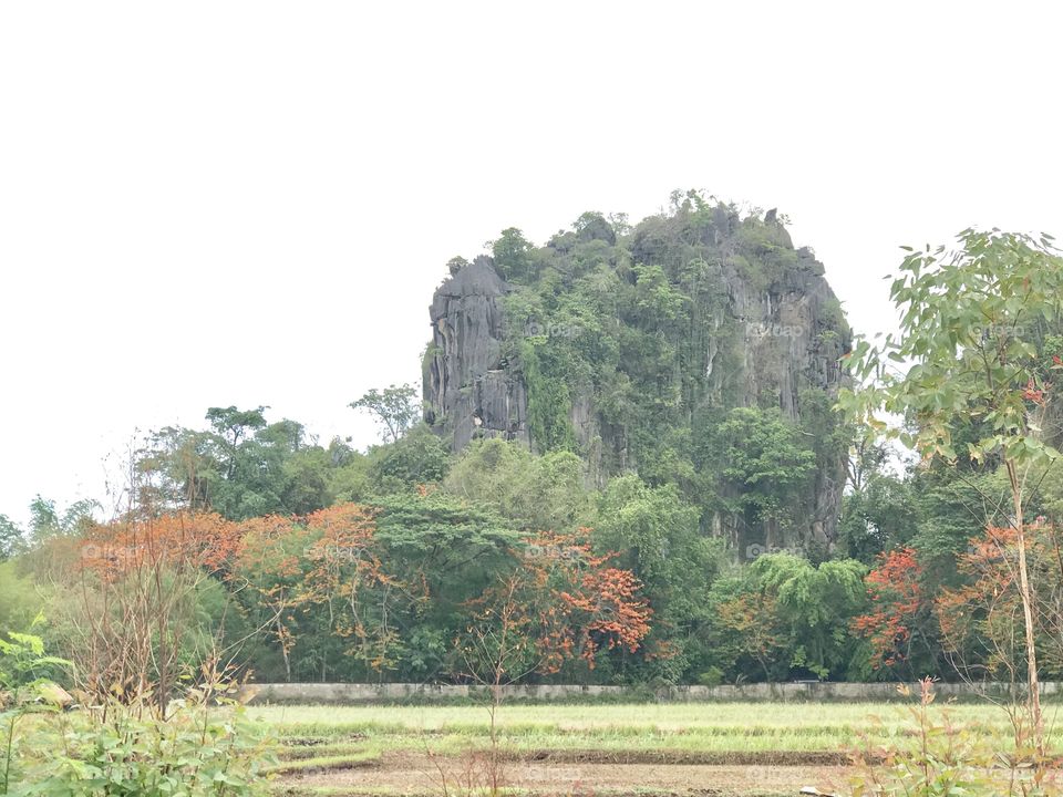 Beautiful mountain at road