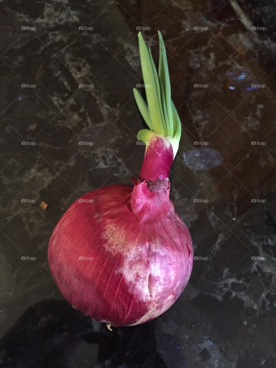 Onion with attitude