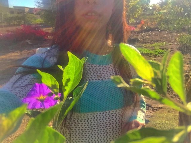 🌷🌷🌷