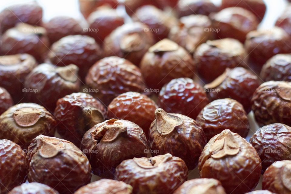 Creative Textures - soap nuts or soapberries (Sapindus Mukorossi)