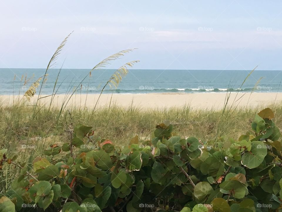 Nature, Summer, Sea, Sky, Water